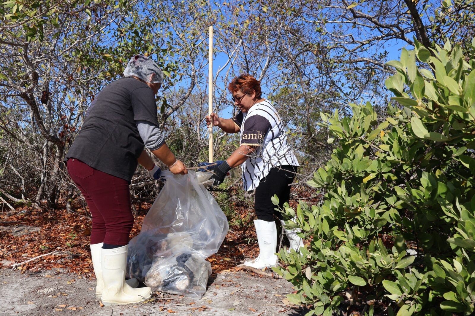 Yucatán y Campeche rompen fronteras para salvar la naturaleza