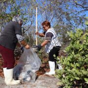 Yucatán y Campeche rompen fronteras para salvar la naturaleza
