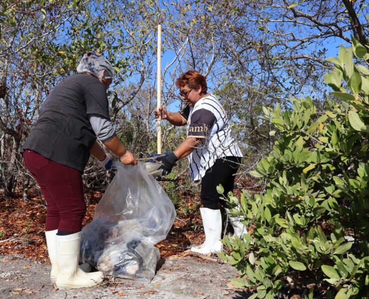 Yucatán y Campeche rompen fronteras para salvar la naturaleza