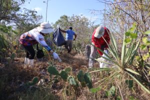 Yucatán y Campeche eliminan fronteras por la conservación