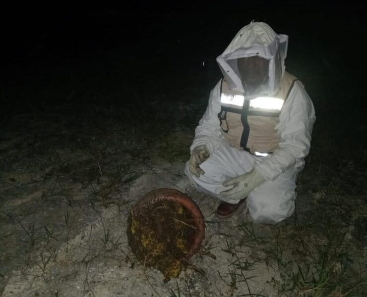 Ataque de abejas en La Unión deja animales muertos