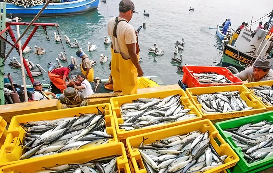 Impacto regional del decomiso pesquero