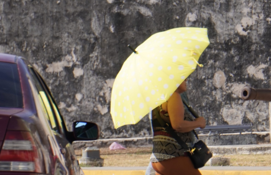 Alertan por ola de calor: riesgos y grupos vulnerables
