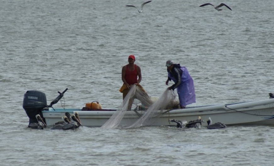 Testimonios del sector pesquero