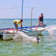 Pesca en Campeche se ve afectada gravemente
