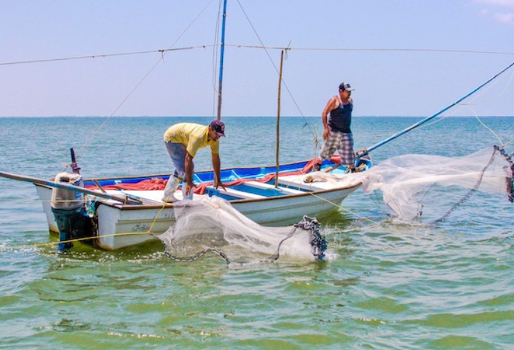 Pesca en Campeche se ve afectada gravemente