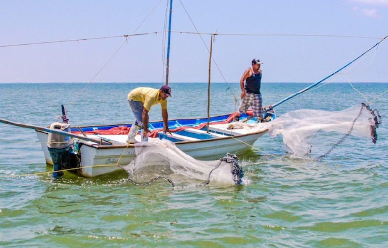 Pesca en Campeche se ve afectada gravemente