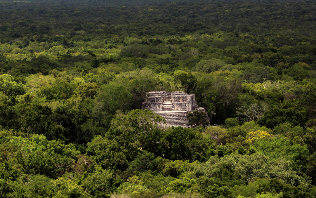 Experiencias turísticas sostenibles