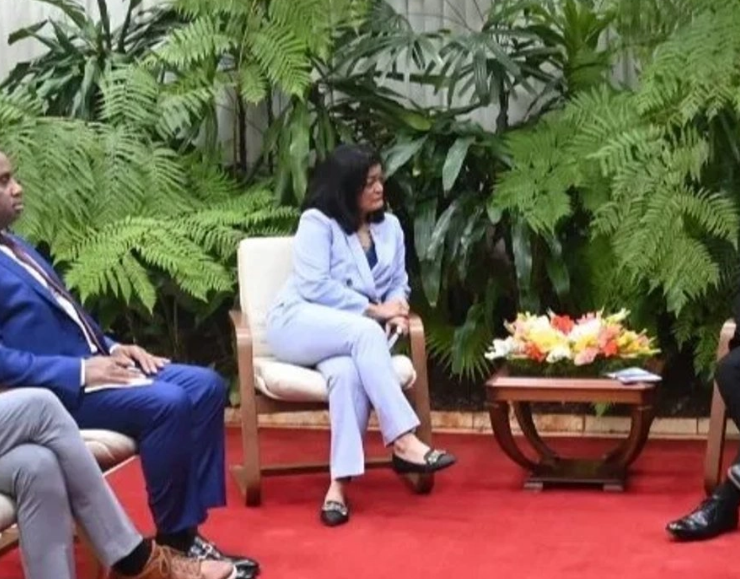 Díaz-Canel recibe a dos congresistas estadunidenses