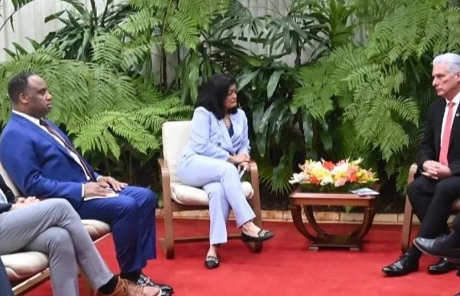 Díaz-Canel recibe a dos congresistas estadunidenses