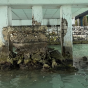 Detectan daño estructural en columnas: riesgo urgente