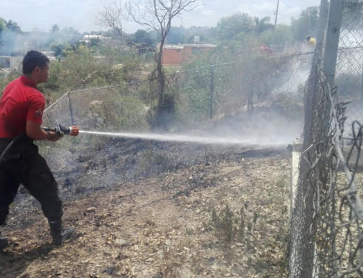 Campeche informan incendios provocados alarma total