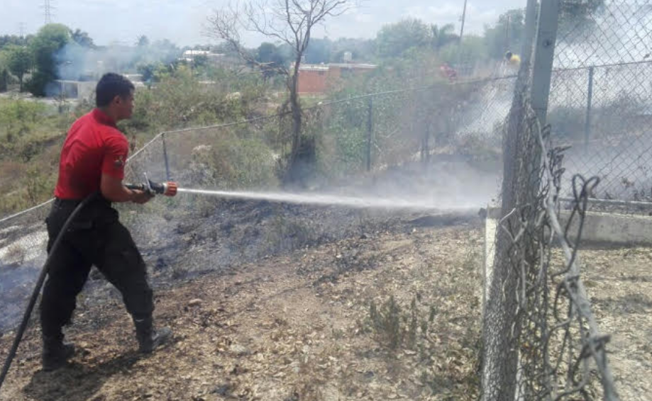 Campeche informan incendios provocados alarma total