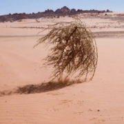 ¿El día mas aburrido de la historia? 11 de Abril, día que no pasó nada