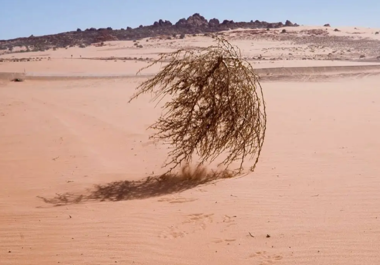 ¿El día mas aburrido de la historia? 11 de Abril, día que no pasó nada