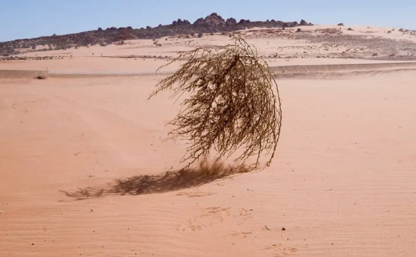 ¿El día mas aburrido de la historia? 11 de Abril, día que no pasó nada