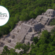Deforestan Reserva de la Biósfera Calakmul y la Profepa interviene