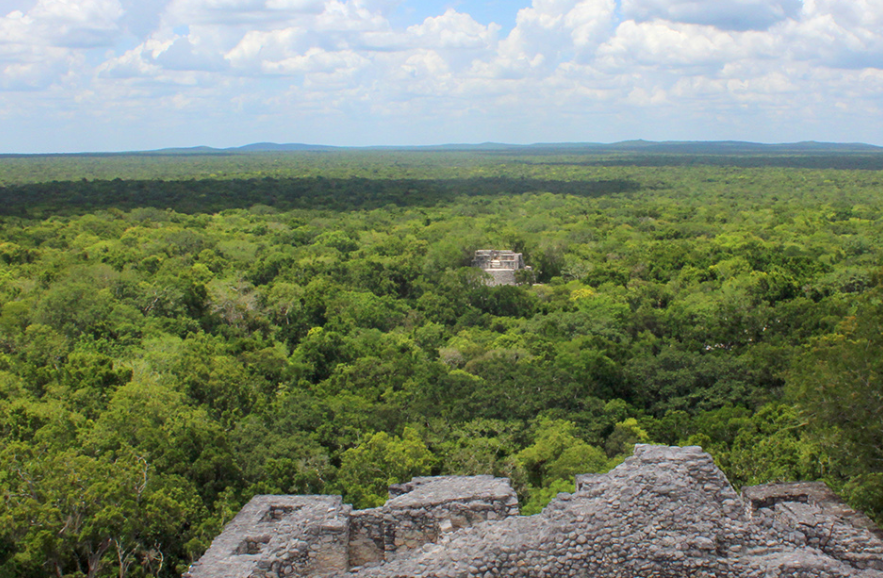 Vigilancia y acciones legales en marcha