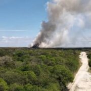 Incendio fuera de control en Ciudad del Carmen alarma total