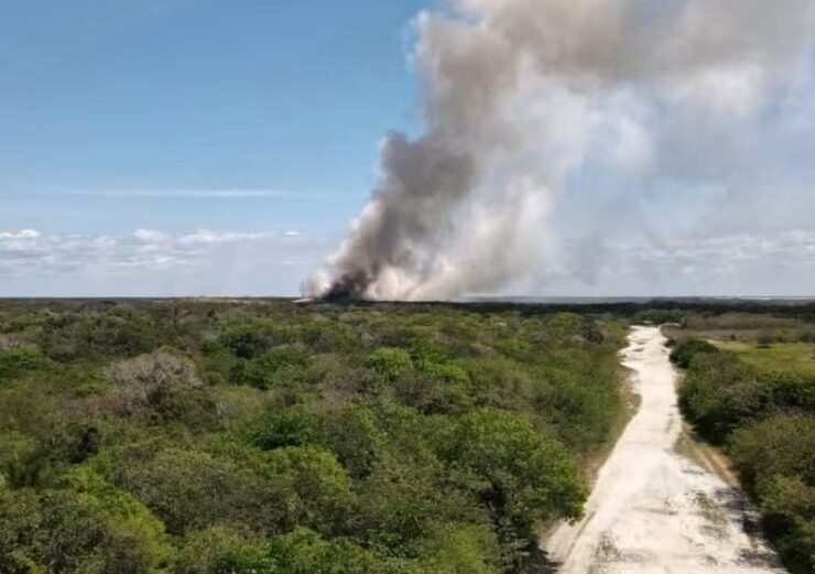 Incendio fuera de control en Ciudad del Carmen alarma total