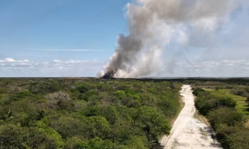 Incendio fuera de control en Ciudad del Carmen alarma total