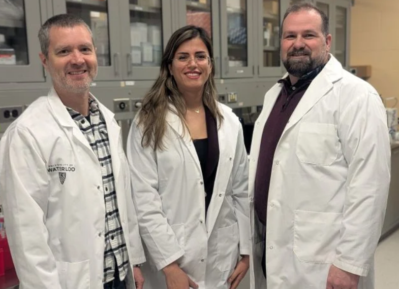 Bacterias diseñadas para “comerse” el cáncer: microambiente tumoral