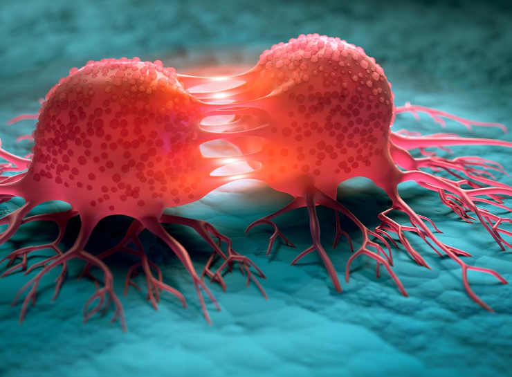 Bacterias diseñadas para “comerse” el cáncer desde el interior