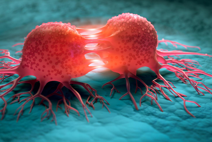 Bacterias diseñadas para “comerse” el cáncer desde el interior