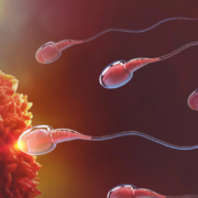 Se logra avance hacia el anticonceptivo masculino