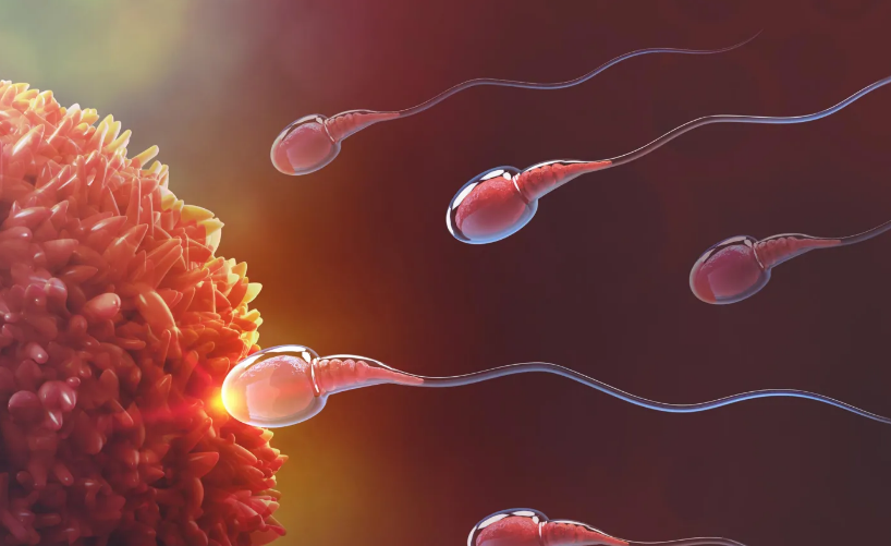 Se logra avance hacia el anticonceptivo masculino