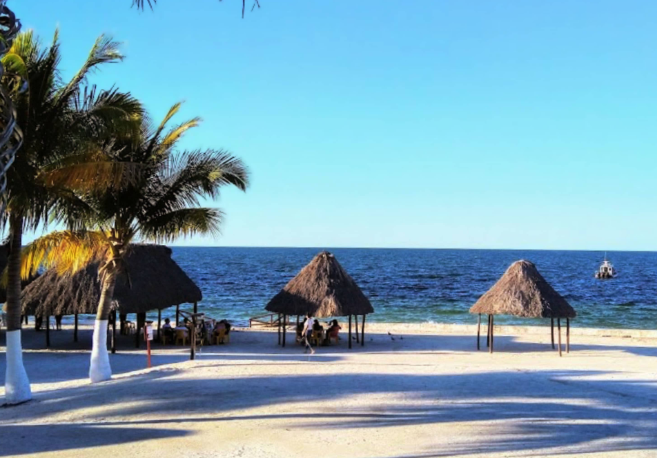 Reacciones ciudadanas y confusión en redes