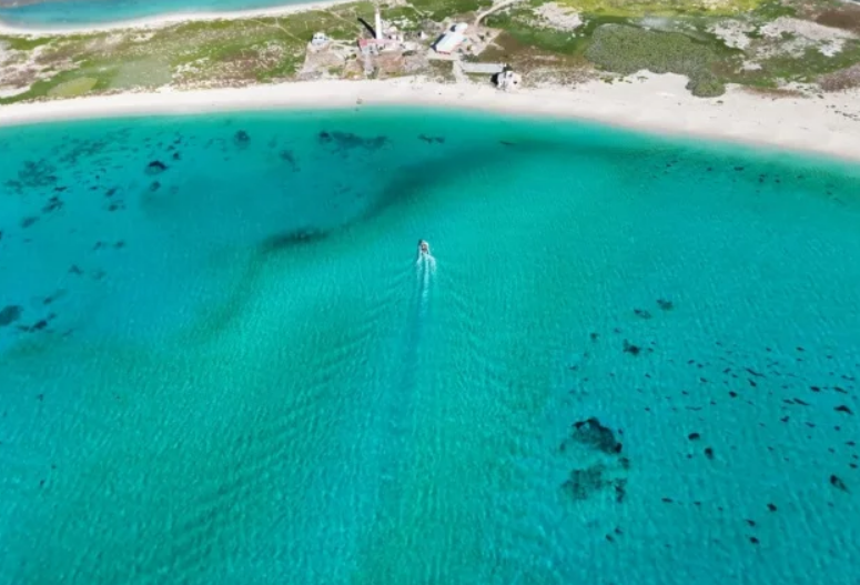 Alcance de los operativos tecnológicos