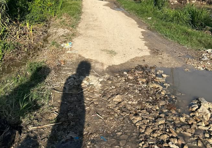 Infraestructura eléctrica en riesgo y seguridad vecinal