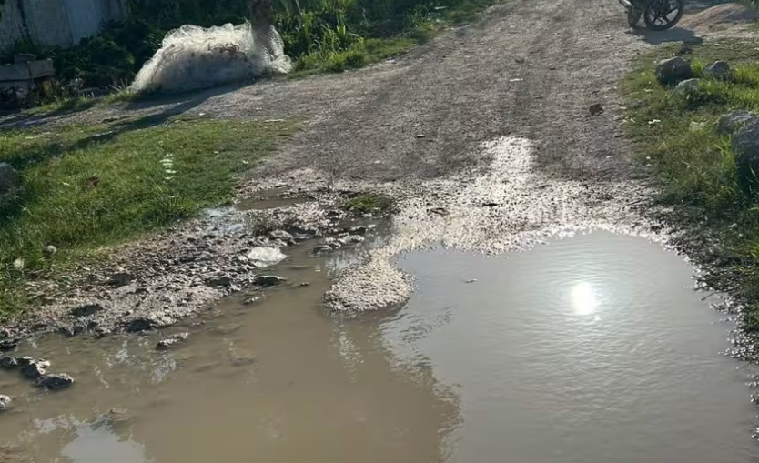 Crisis urbana en Seybaplaya: denuncias que alarman a Campeche