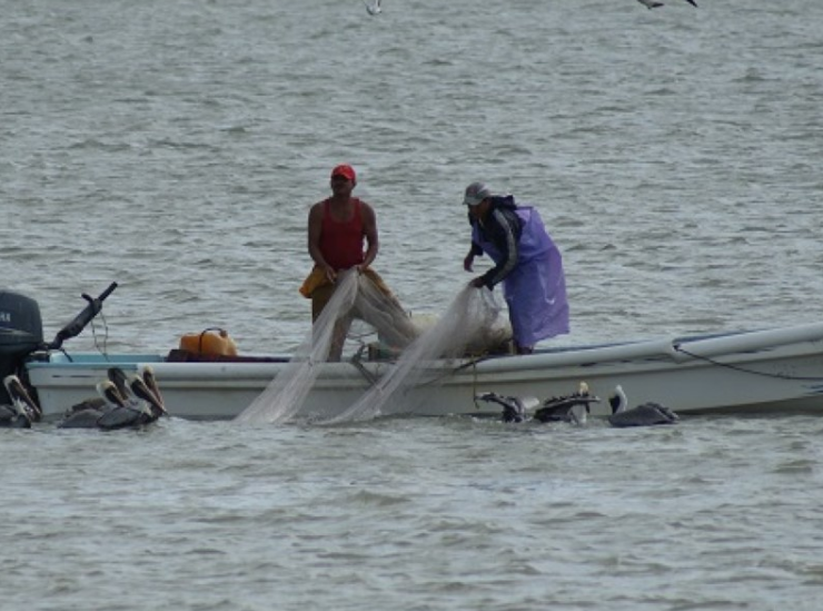 Cédulas marcan el camino a apoyos urgentes a pescadores