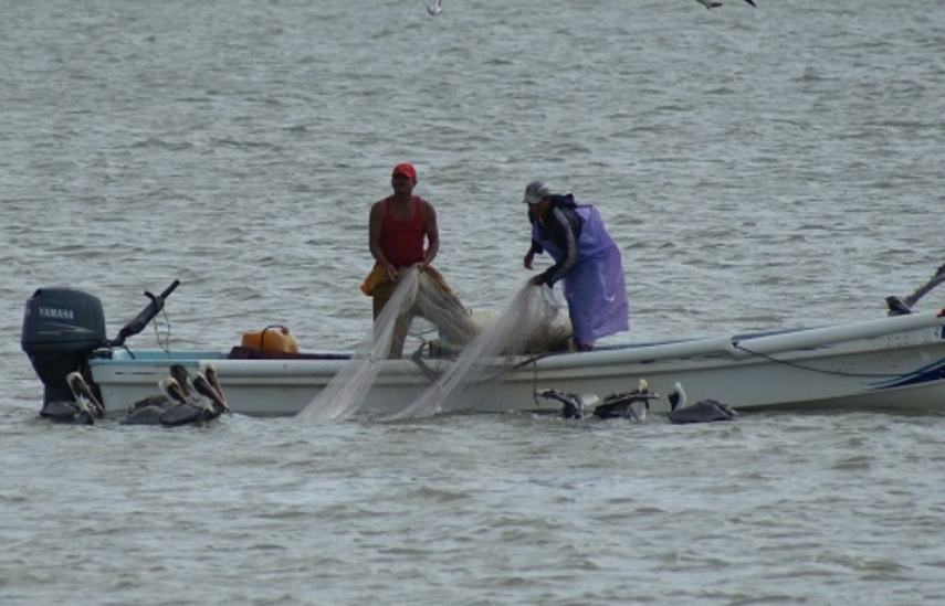 Cédulas marcan el camino a apoyos urgentes a pescadores