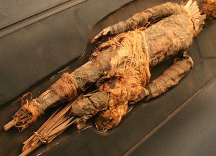 Detectan bacteria en una momia precolombina