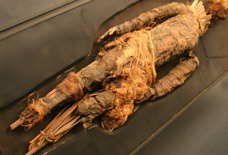 Detectan bacteria en una momia precolombina