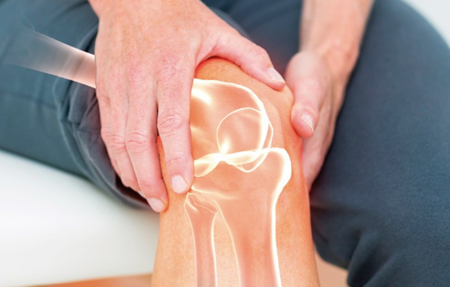 Resultados en modelos animales prometedores