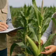Campeche fortalece la vigilancia fitozoosanitaria: impacto rural