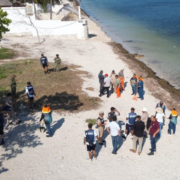 Jornada masiva de limpieza en costas de Campeche