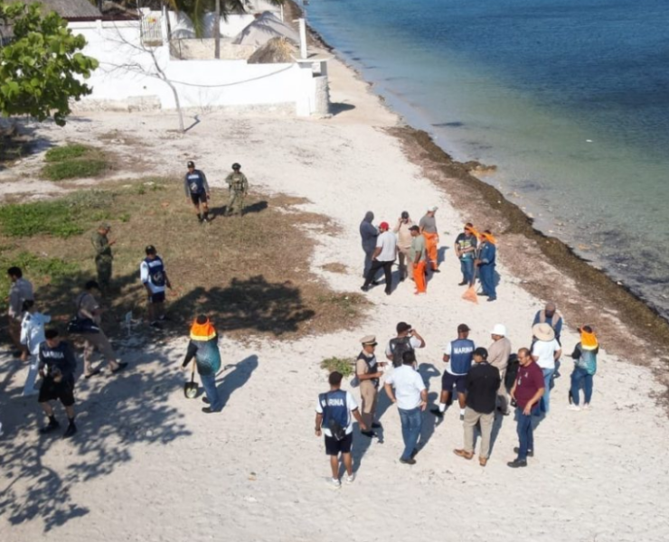 Jornada masiva de limpieza en costas de Campeche