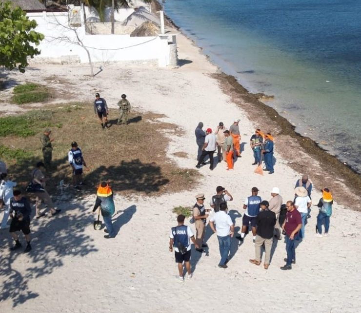 Jornada masiva de limpieza en costas de Campeche
