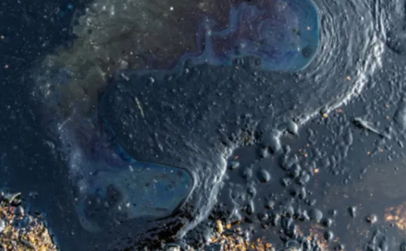 Derrame de crudo dañó redes robaleras impacta Campeche