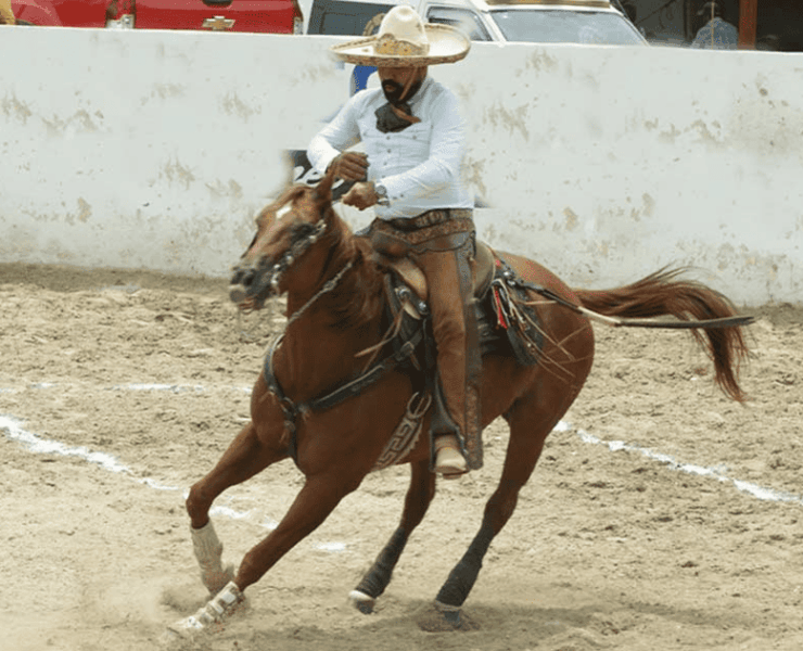 Charros impulsan reconocimiento del Día Estatal del Caballo