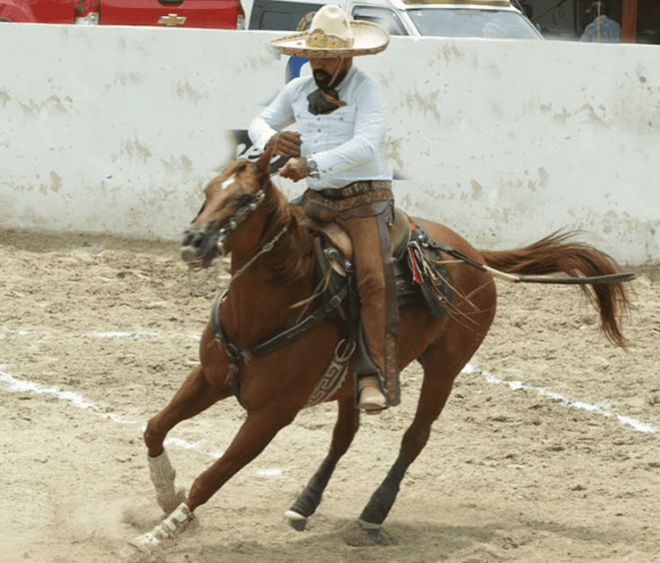 Charros impulsan reconocimiento del Día Estatal del Caballo