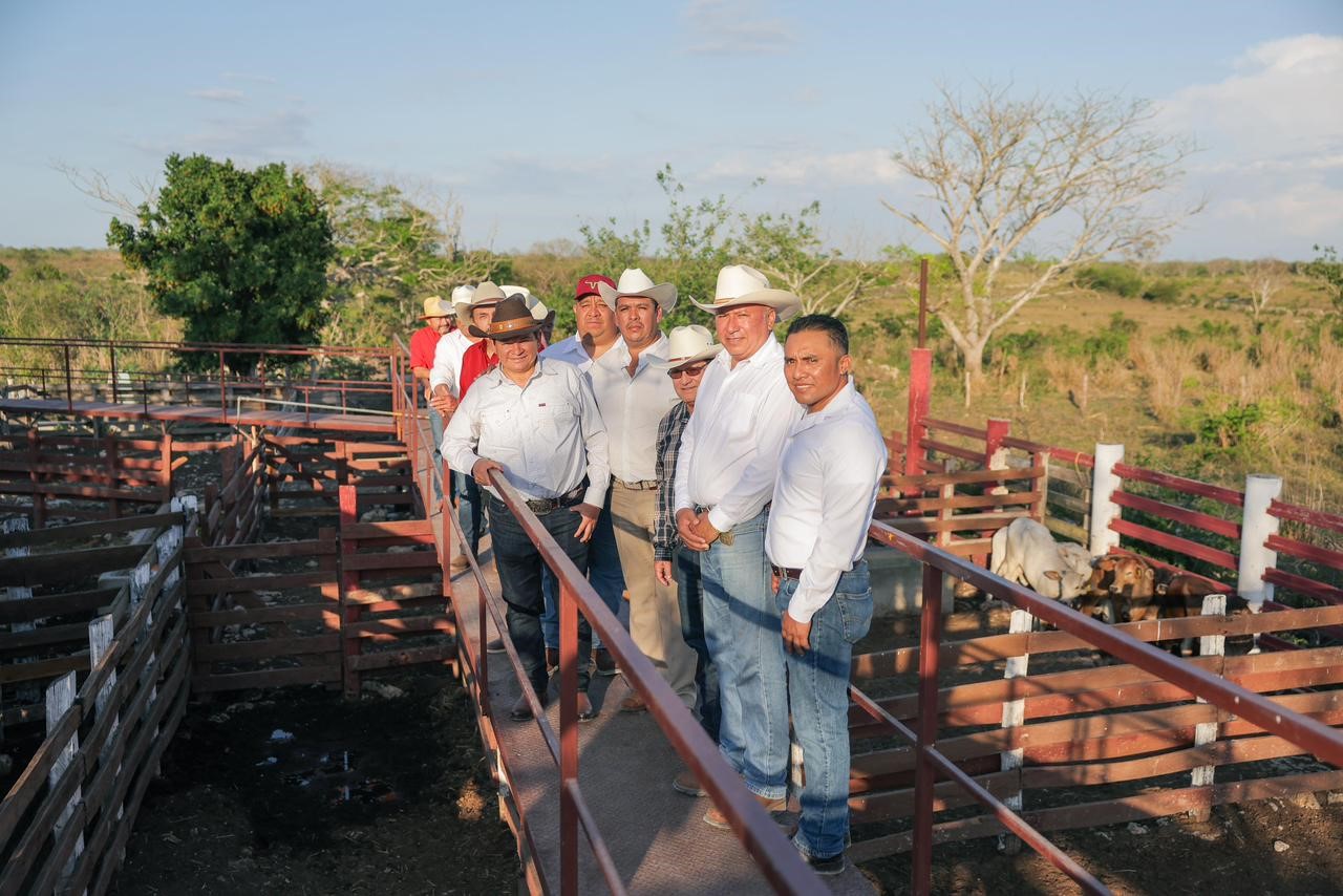 Impulso Rural: Desarrollo social y ganadero transforma Panabá Yucatán
