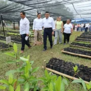 Efecto multiplicador del programa Sembrando Vida transforma comunidades rurales