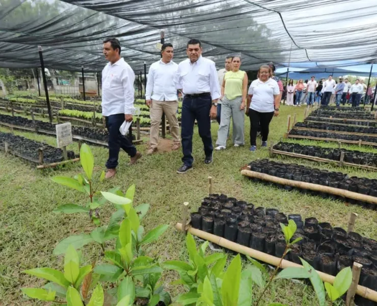 Efecto multiplicador del programa Sembrando Vida transforma comunidades rurales