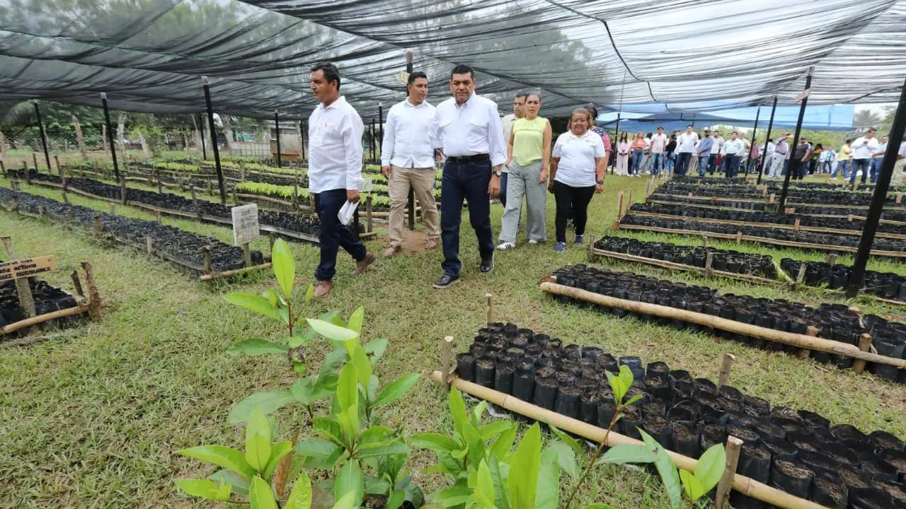Efecto multiplicador del programa Sembrando Vida transforma comunidades rurales